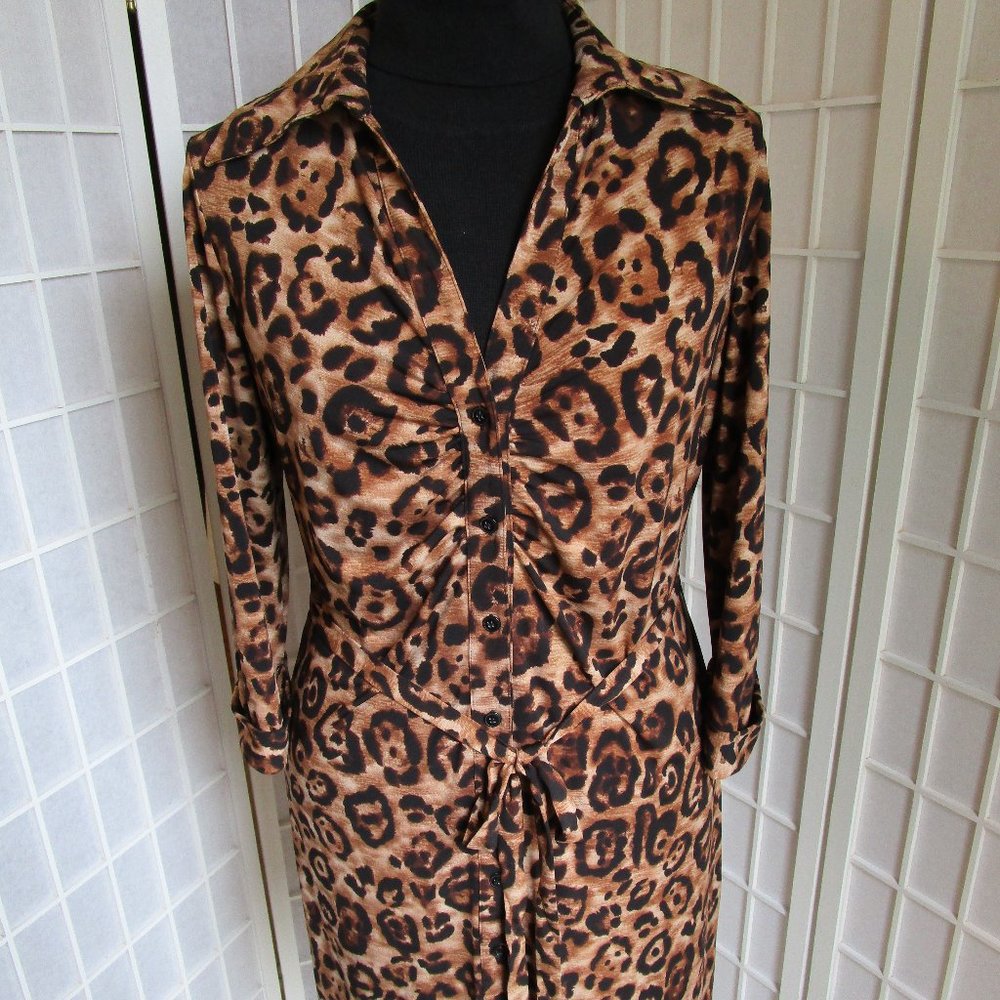 Leopard Print Dress